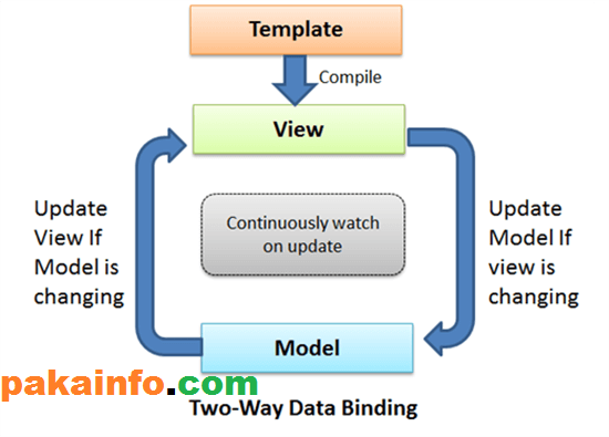 AngularJS update bind ng model input value from Jquery Code