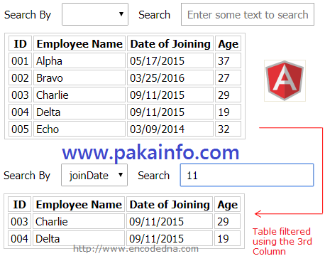 Add or Remove Table Rows Dynamically in AngularJS