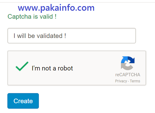 How to Integrate Google No CAPTCHA reCAPTCHA using VueJS