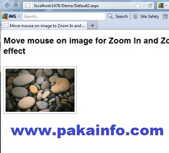 ImageViewer-angular image zoom-in And Zoom-Out Example