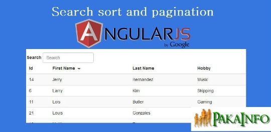 Angular 6 DataTable Pagination Sorting Searching Example