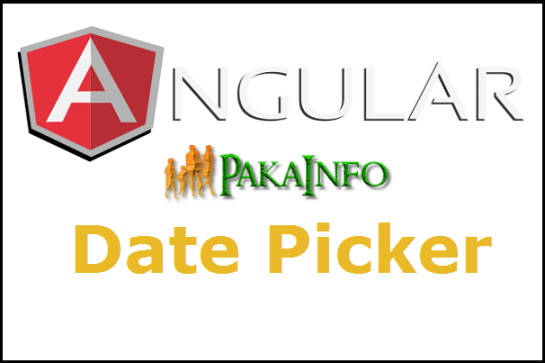 AngularJS Datepicker Example code with Demos