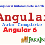 Angular 6 Autocomplete Search Tutorial With Example from scratch