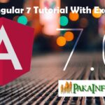 Angular 7 Tutorial With Example from scratch