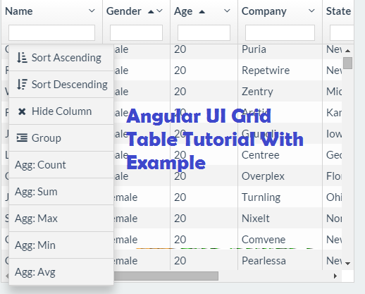 Angular UI Grid Table Tutorial With Example