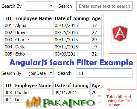AngularJS Search Filter Example with Demo
