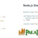 PHP sleep delay Function increasing execution time
