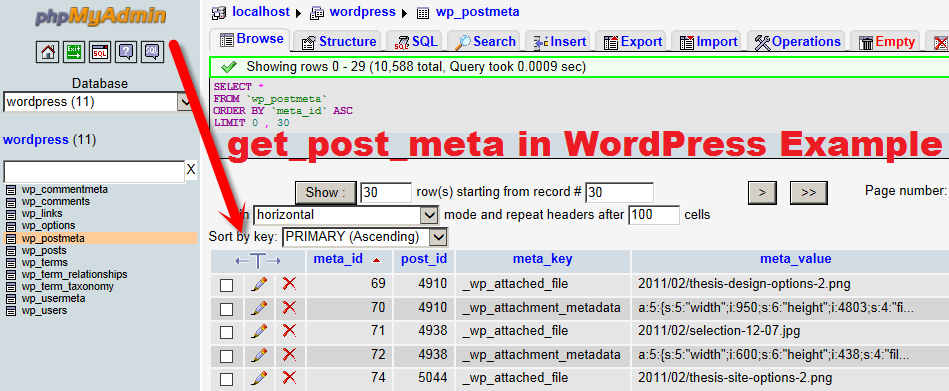 get_post_meta in WordPress Example
