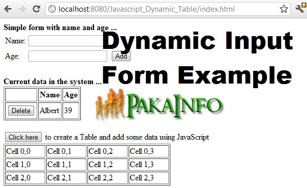 JavaScript Dynamic Input Form Example