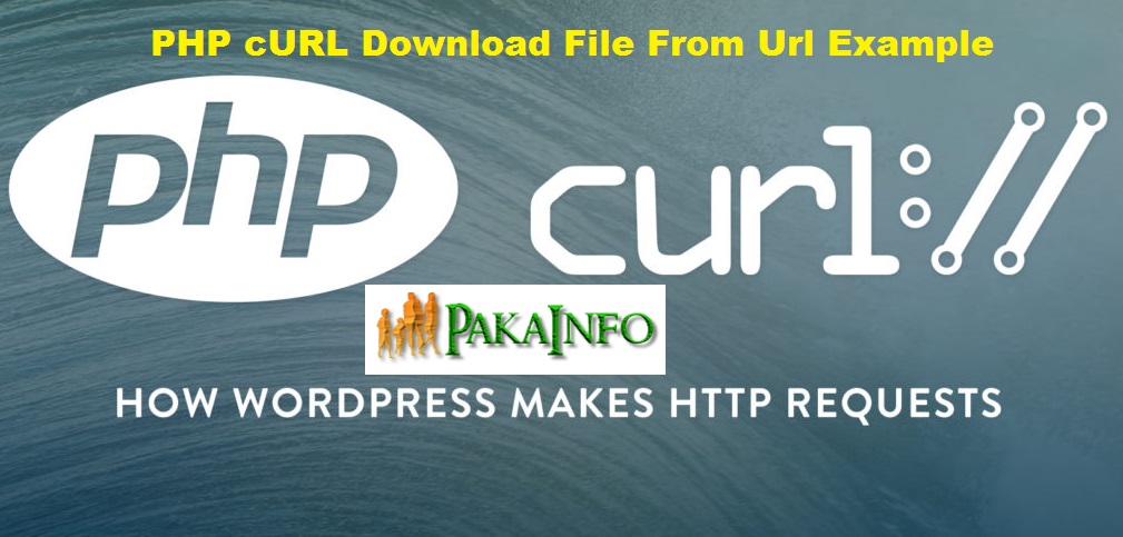 PHP cURL Download File From Url Example