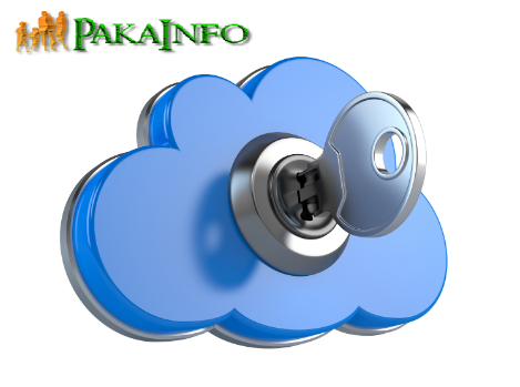 Cloud Software Network service security