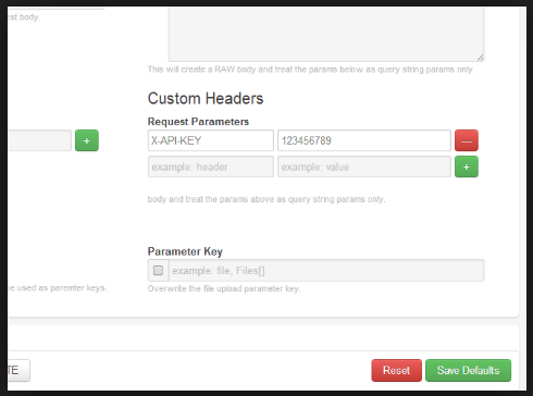 PHP cURL Set custom header Authorization