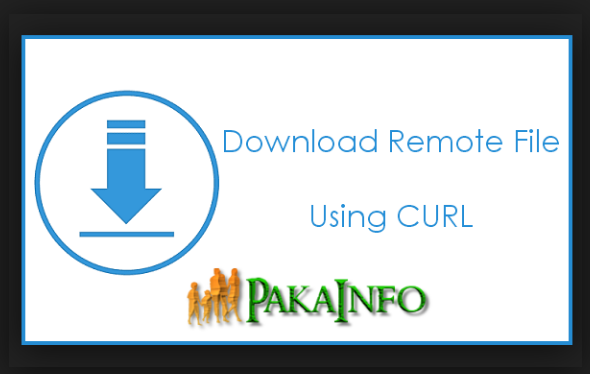 PHP download file from URL Curl