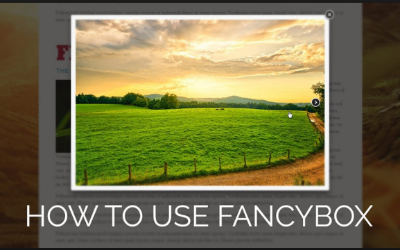 Simple Jquery Fancybox Popup