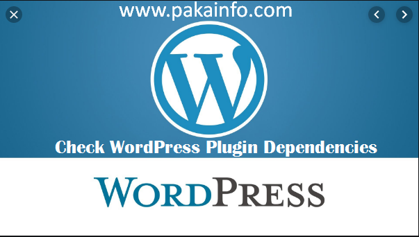 Check WordPress Plugin Dependencies