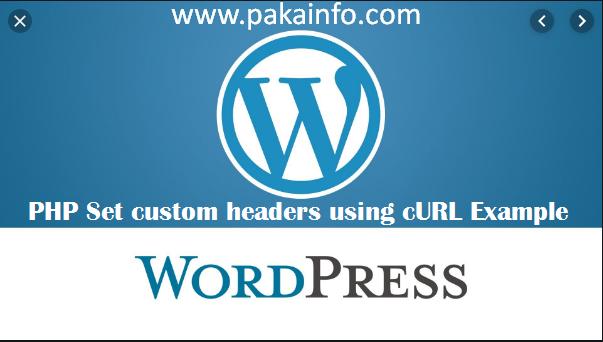 PHP Set custom headers using cURL Example