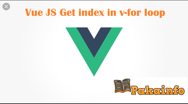 Vue JS Get index in v-for loop Example with Demo
