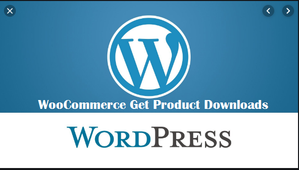 WooCommerce Get Product Downloads