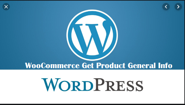 WooCommerce Get Product General Info