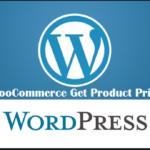 WooCommerce Get Product Prices