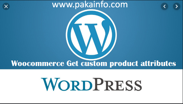 Woocommerce Get custom product attributes