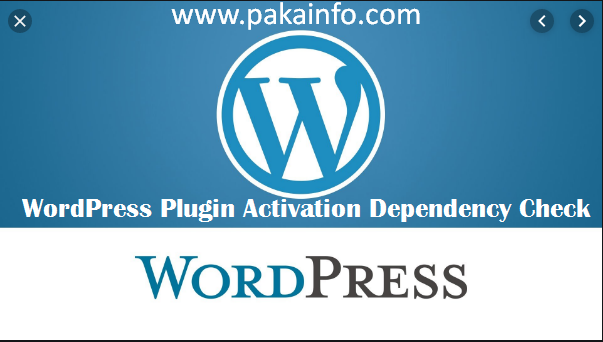 WordPress Plugin Activation Dependency Check