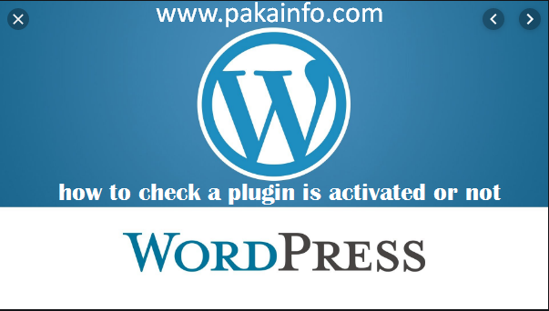 how to check a plugin is activated or not in wordpress