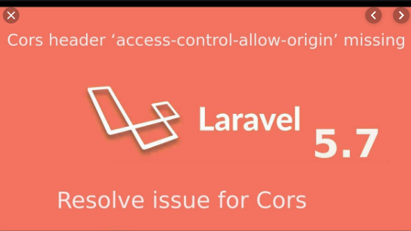 Handle CORS Requests in Laravel 6 Application