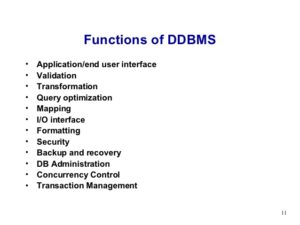 briefly explain what a database management system is as well as the components it consists of
