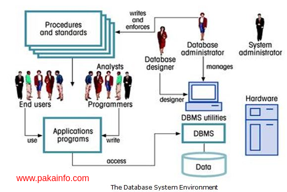 what are the main components of a database system