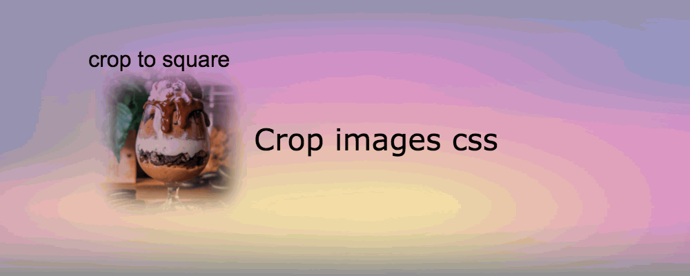 css center image, center image css, css image, css image size, html image size, crop images, image css, scale image, css scale, 