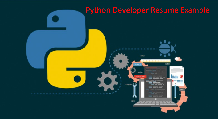 python developer resume