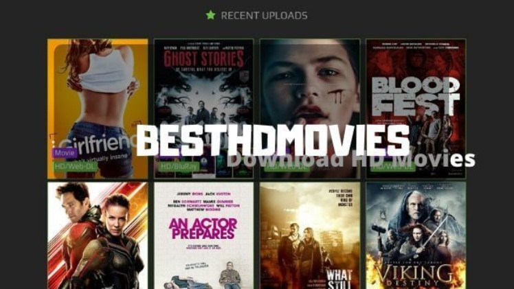 Here-these-are-the-most-commercial-HD-movie-download-sites