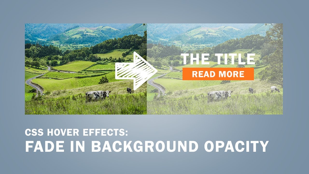 Css Background Image Opacity - Best 10 Ways To Add Background Image Opacity(Using  CSS) - Pakainfo