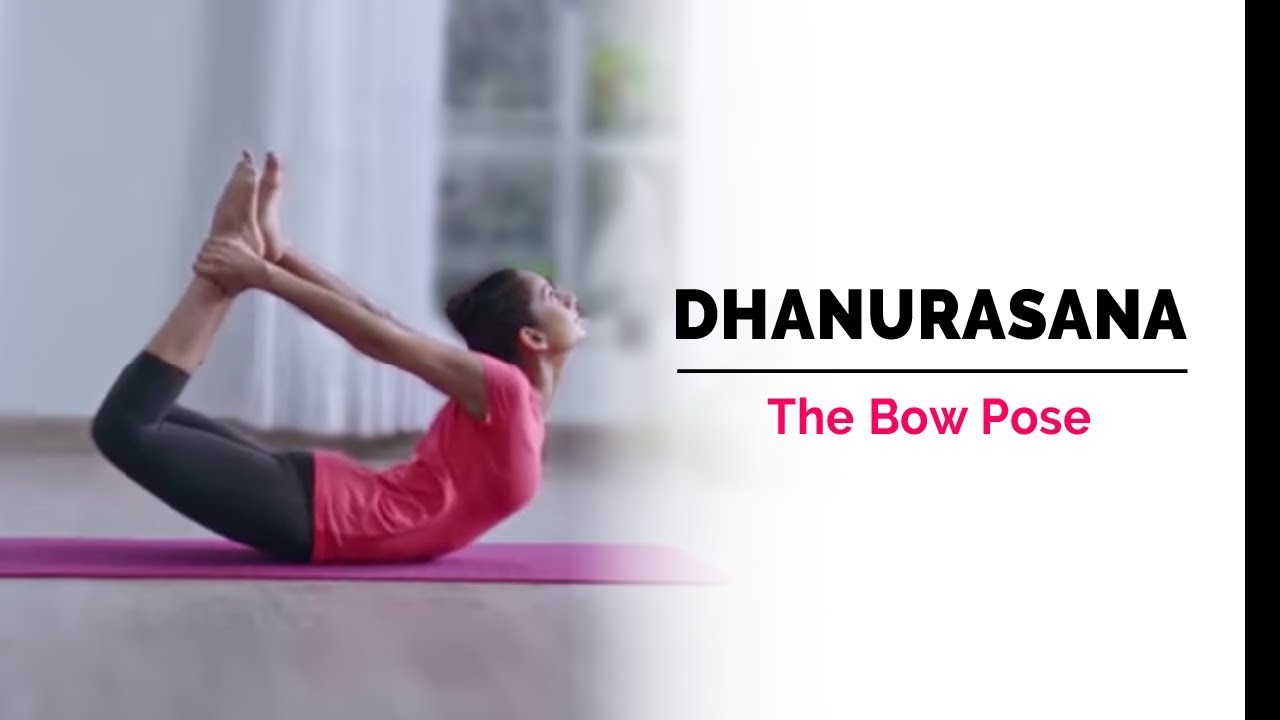 Dhanurasana Yoga(The Bow Pose) Health Benefits: Flexibility, Strength, Posture, and More