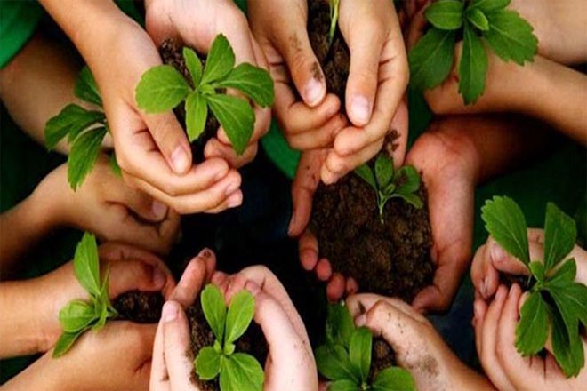 Vriksharopan (वृक्षारोपण)  – Learn Importance and Benefit of Tree Plantation – Best 500 Word Essay
