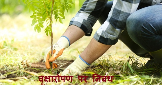 वृक्षारोपण-पर-निबंध-Essay-on-Tree-Plantation-in-Hindi