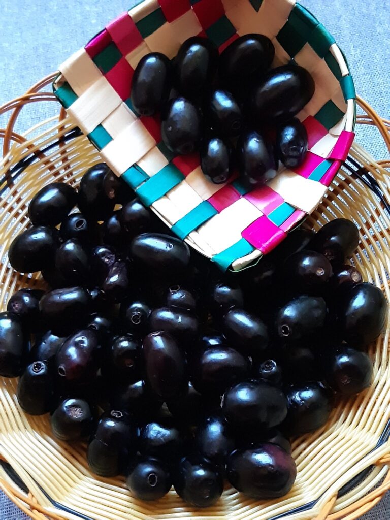 jamun fruit in english