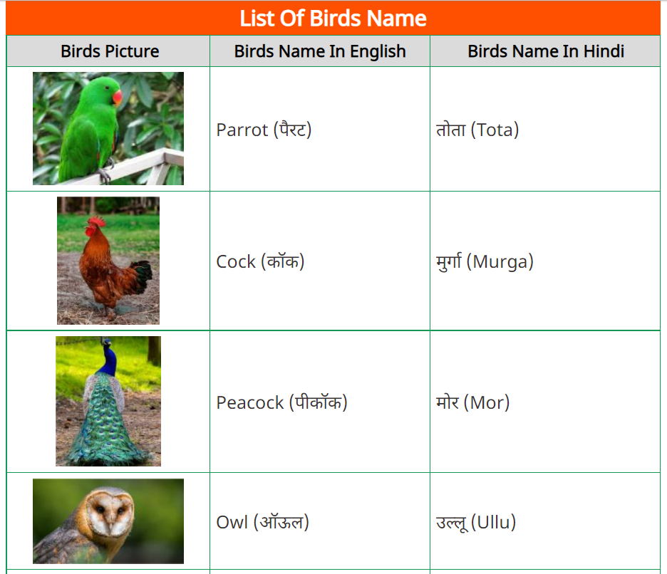 birds name list