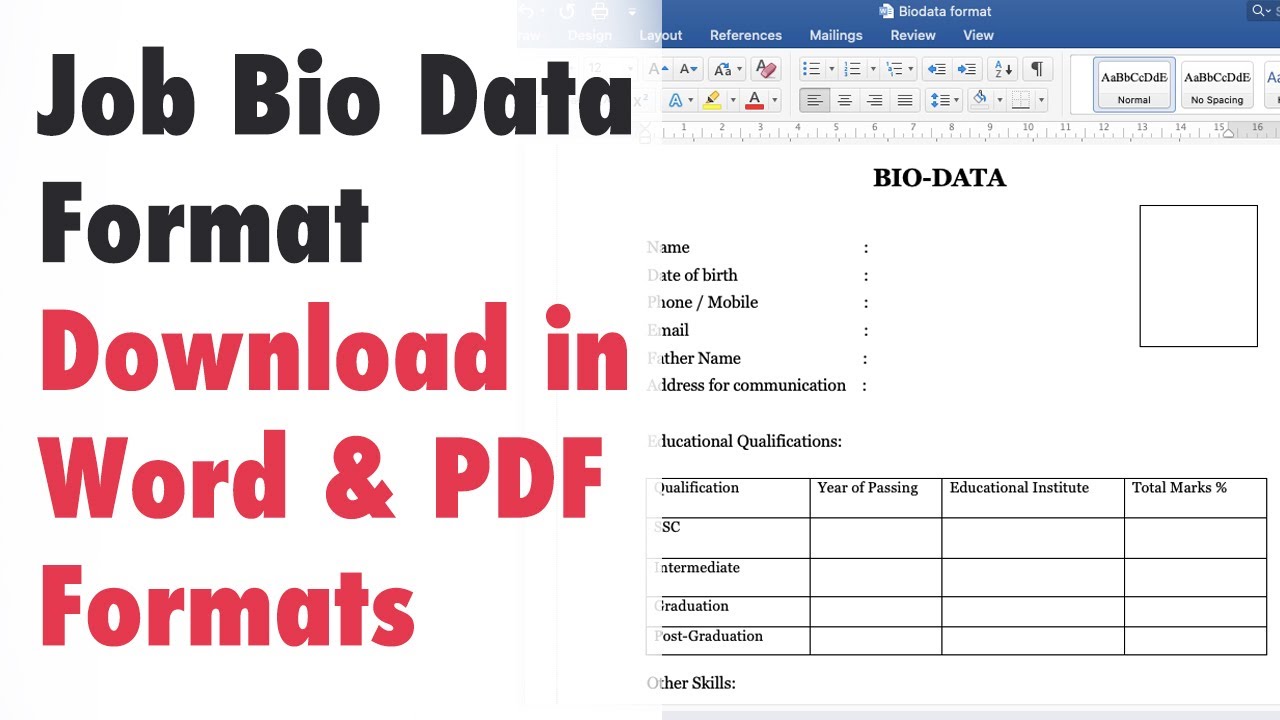 Biodata Format for Jobs