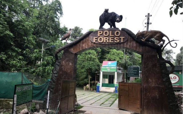 polo forest