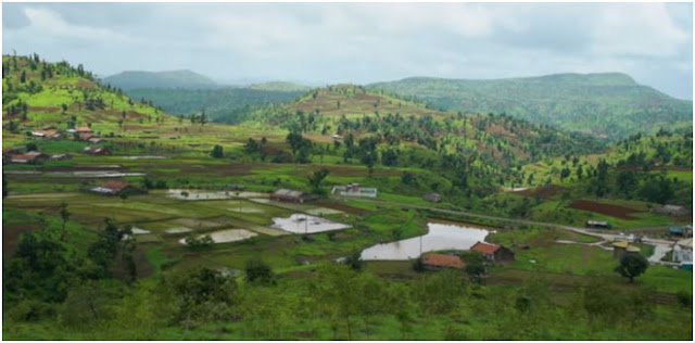 don hill station resorts