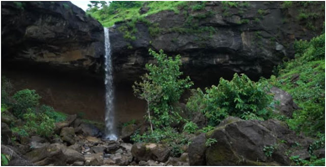 don hill station wikipedia