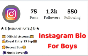 instagram bio for boys attitude