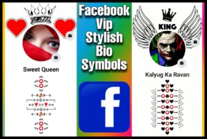 Fb Vip Stylish Bio Symbols