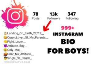 Mahakal Instagram Bio For Boys