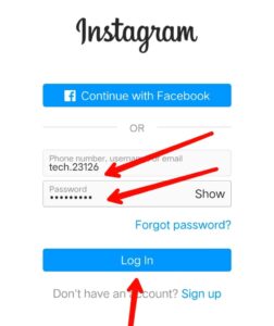 Enter Fake Account Username Or Password