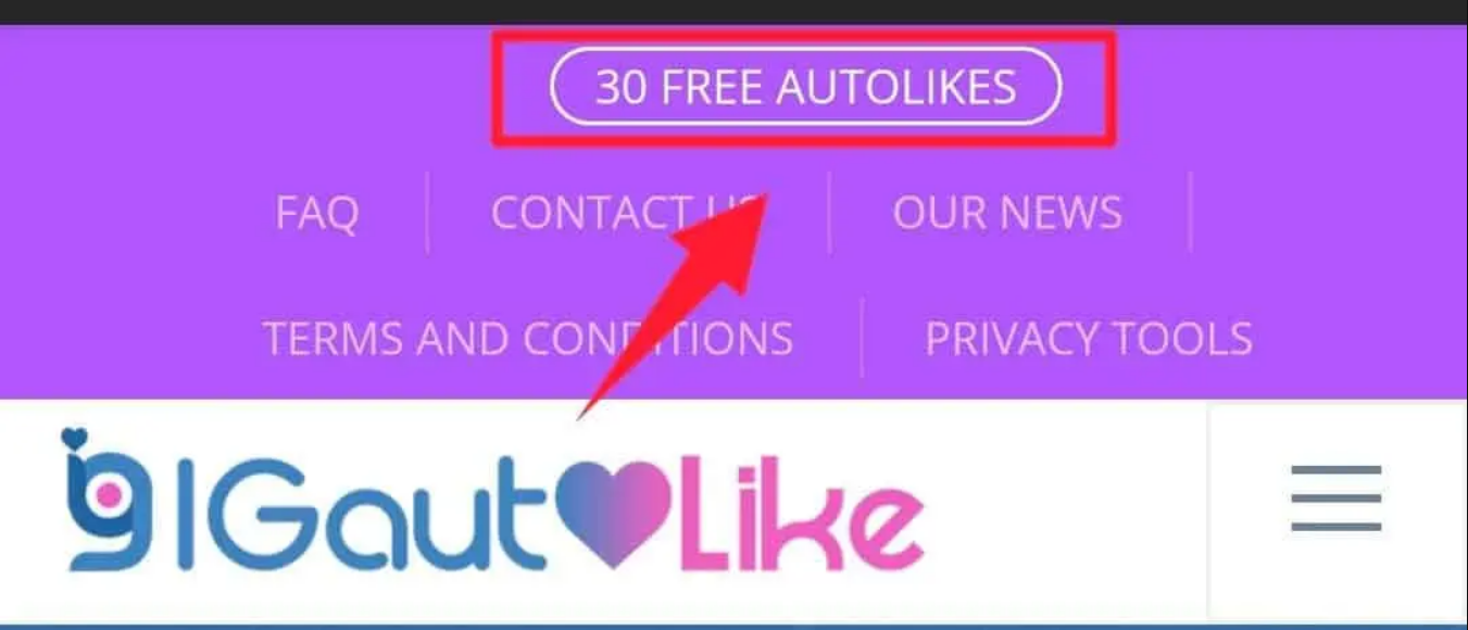 IGautolike – Free Instagram Reels Views, Followers, Likes, Comment 2024