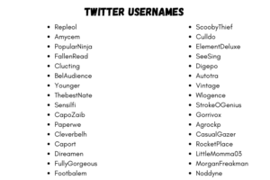 Twitter Username Ideas