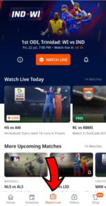Watch Live Cricket Matches in Fancode